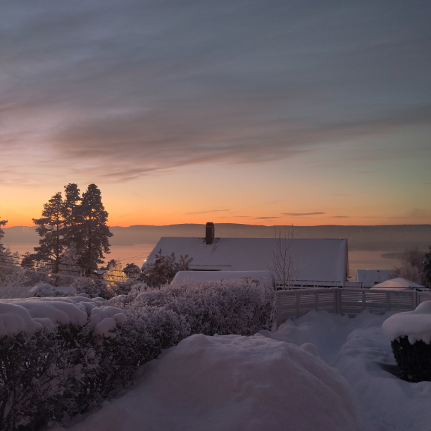 A winter wonderland landscape with a yellow sunset.