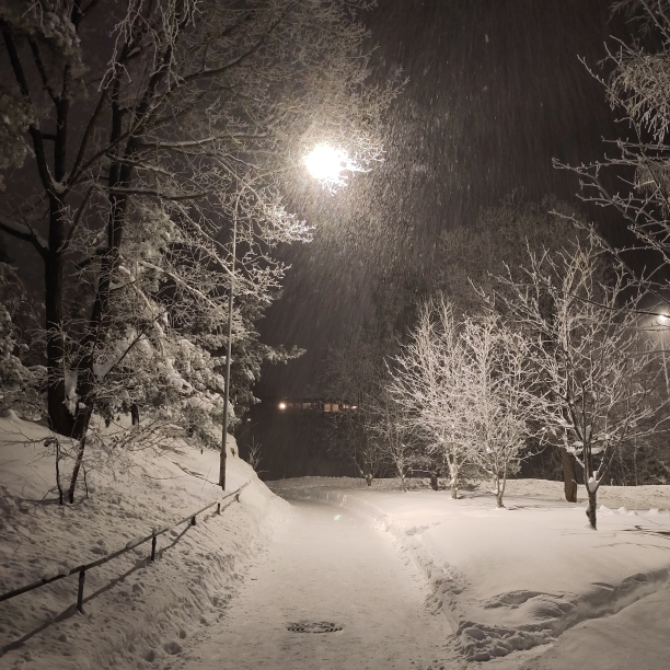 A path in the snow.