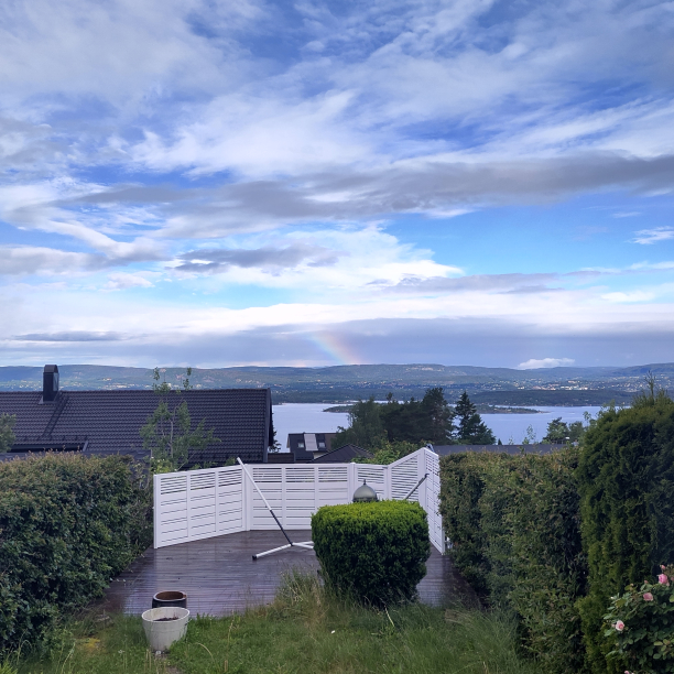 An over grown garden with a faint rainbow on the horizon.