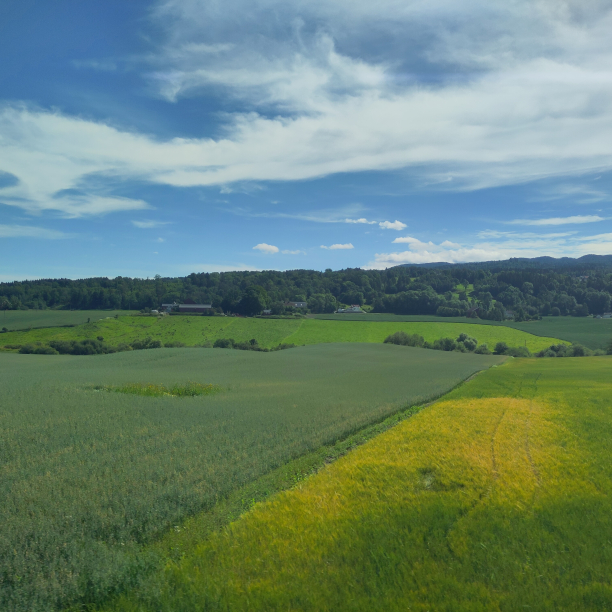 A sea of green fields.