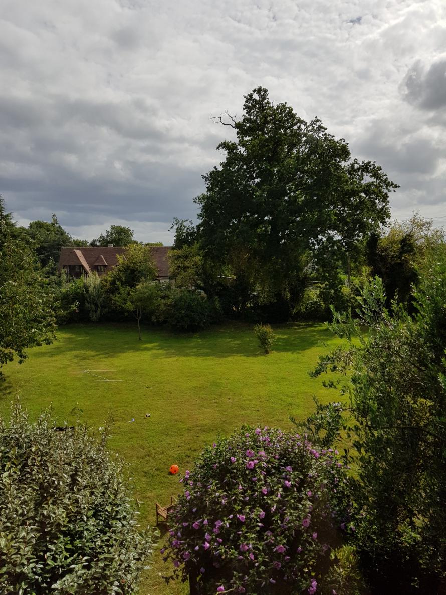 View of roughly 1/3 of the garden from the house. A nice, green, open garden.