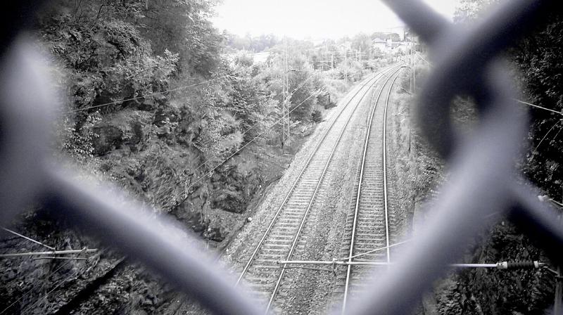 The railroad that goes by our apartment. Right now it’s closed for traffic because they are doing maintenance work about a kilometer down the track. So no pictures of trains. I like trains.