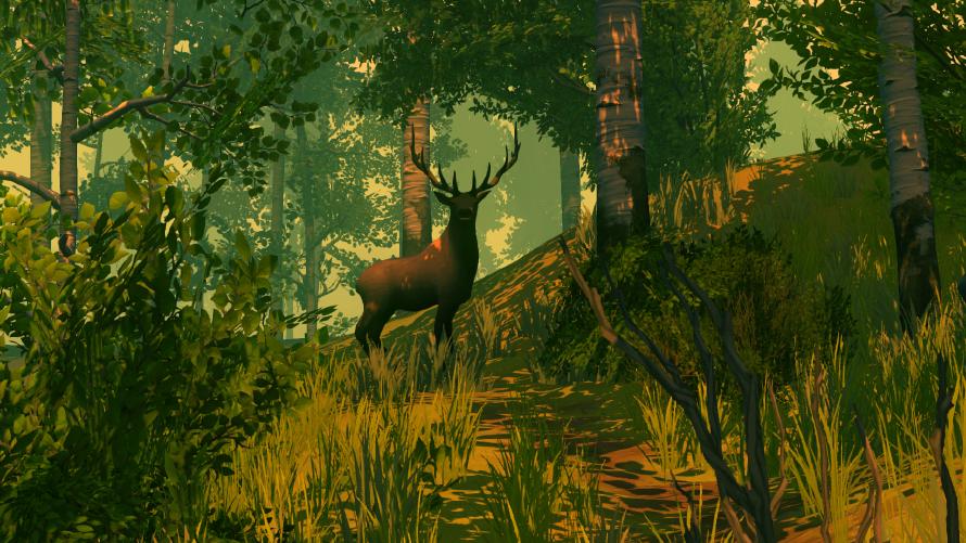 A stag standing in the forest, looking straight at you.