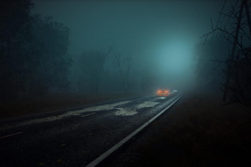 A road through a forest during the night. A car has either just passed or is parked in the distance, and the tail lights are visible.