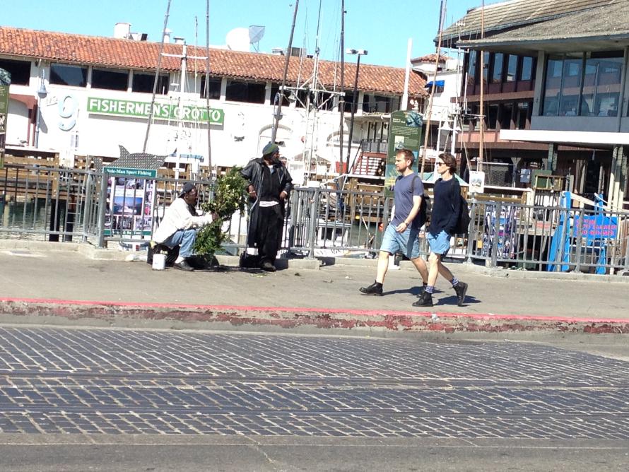 San Francisco, California. This guy hid behind the makeshift bush, scaring people, expecting money for the effort.