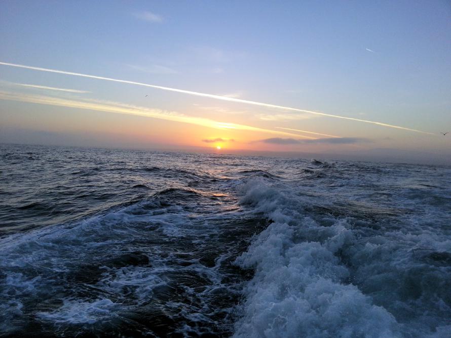 Heading out to sea, Monterey, California.